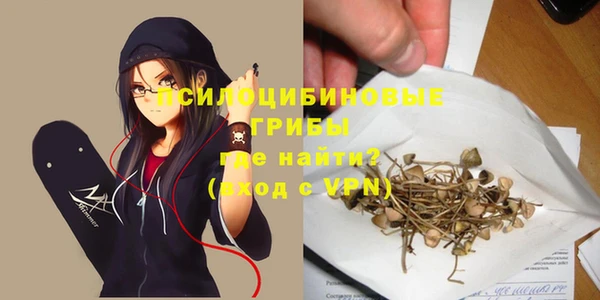 spice Инсар