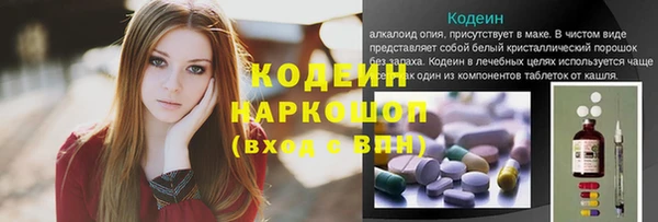 spice Инсар
