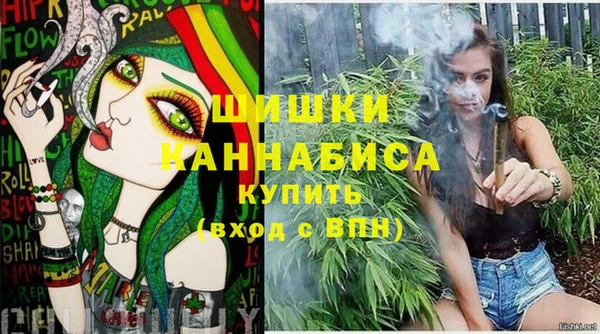 spice Инсар