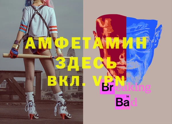 spice Инсар